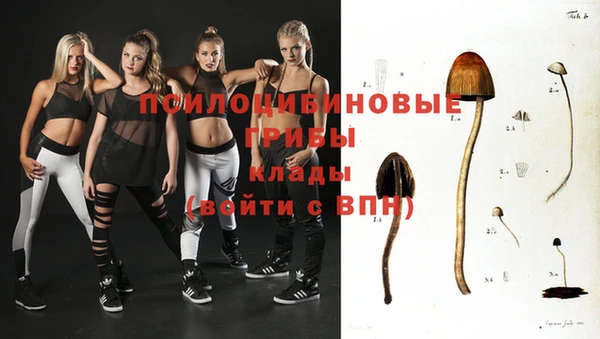ПСИЛОЦИБИНОВЫЕ ГРИБЫ Балахна