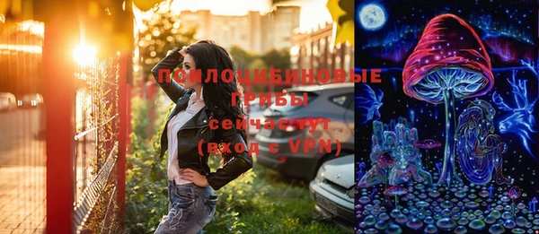 ПСИЛОЦИБИНОВЫЕ ГРИБЫ Балахна