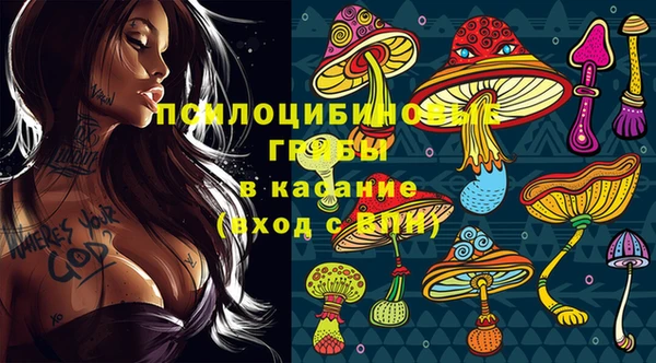 ПСИЛОЦИБИНОВЫЕ ГРИБЫ Балахна