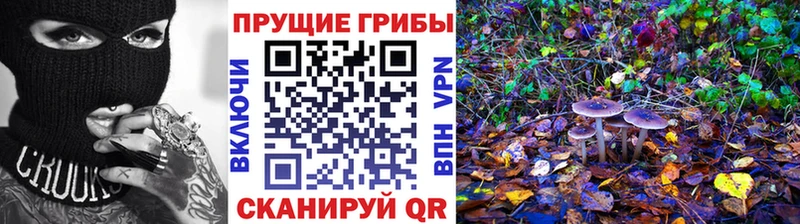 Купить где  Междуреченск  Псилоцибиновые грибы Magic Shrooms 